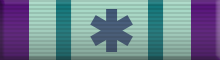 Leonard McCoy Medical Award